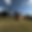 shed render.png