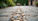 Innovative Concrete Patio Designs: Creative Patio Designs to Transform Your Outdoor Space