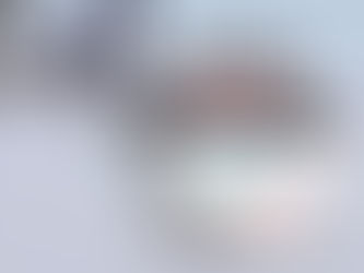 Columbus Energoies Rookie of the year