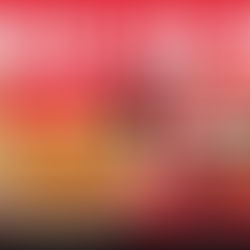 Raising Canes at Seekonk Speedway