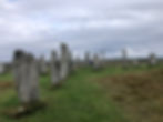 photo_3