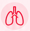 heart.png