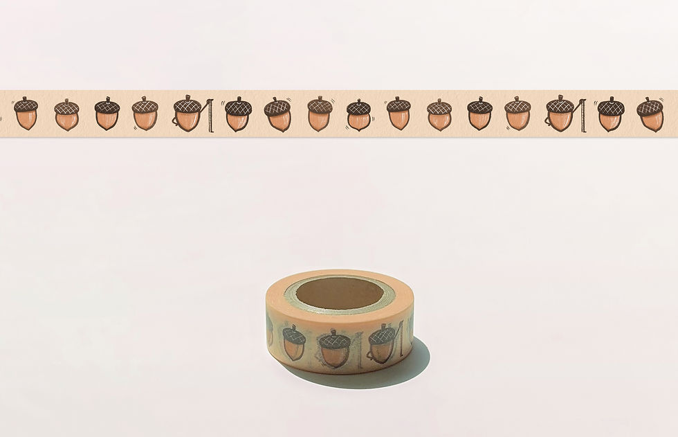 도토리 키재기 (15mm)