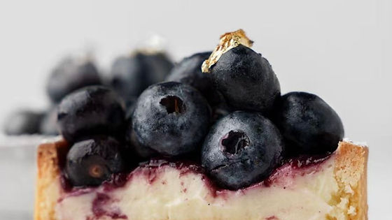 Blueberry Cream Cheese Tart