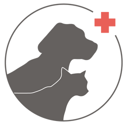 Animal%20Clinic%20Logo_edited.png