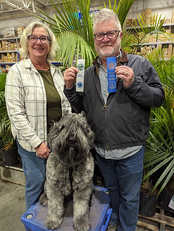 A man and woman with a dog trained for AKC CGC