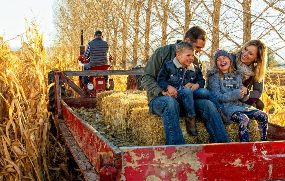 Five fun outdoor activities to enjoy in fall