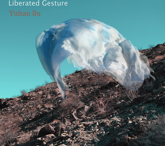 Liberated Gesture.jpg
