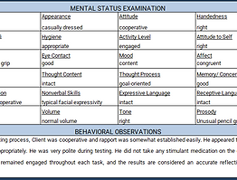 MSE screenshot.png