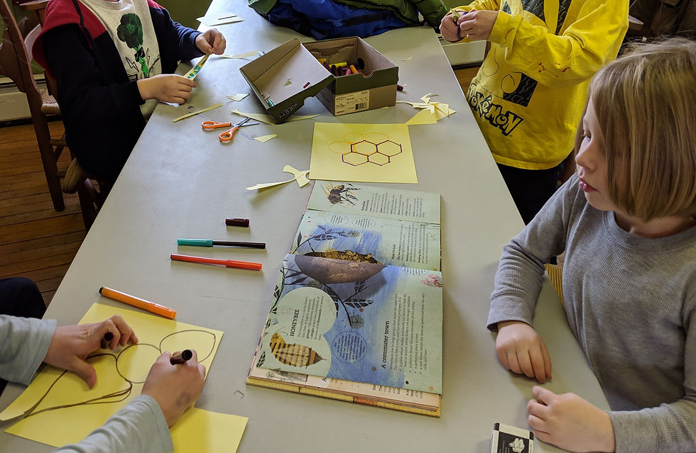 Learning about animal architecture and the importance of the individual in a community, the sum of small efforts by each of us. Photo by author