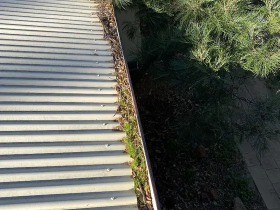 Downpipe and gutter clean result