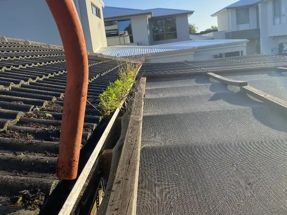Box gutter cleaned out