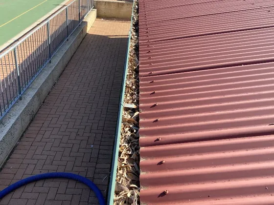 Path and walkway cleaned