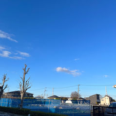 今日はすみません