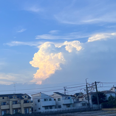 いい眺めです
