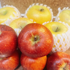 やっぱり美味しいですよ