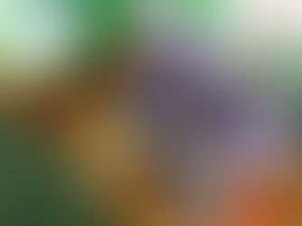 Launch of our Safe Spaces guidelines