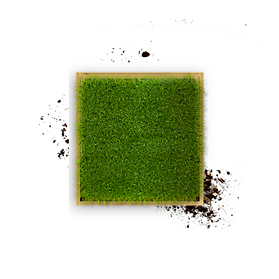Global_Gardens_Artificial_Turf_Installers_In_Cape_Town