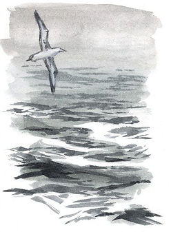 How to draw and paint water and sky (vid