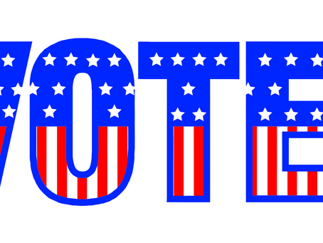 “The American Voter Paradox” - A Game Brief