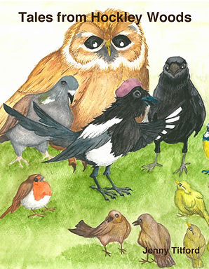 thesuperstitiousmagpie
