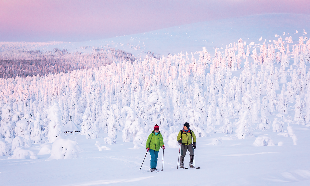 Sliding snowshoeing, or skishoeing, is the easiest way to get started.