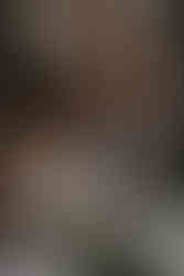 Bride and groom signing the register