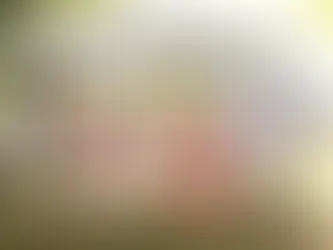 Your Ultimate Guide to Party Rentals in NYC and Long Island