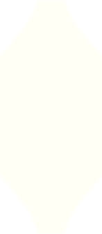 Aos 25 anos, Alexandre Moreira é um jovem cristão, conservador e defensor ferrenho da família, da liberdade e da pátria. Sua história, repleta de momentos emocionantes, reflete a essência de alguém que não apenas acredita em seus ideais, mas vive de acordo com eles.
O início da vida de Alexandre foi marcado por um milagre. Aos meros 6 meses de idade, ele foi submetido a uma cirurgia delicada no crânio, uma prova da intervenção divina que moldaria seu destino. Sua mãe, Vanessa, uma mulher jovem, enfrentou desafios imensos, mas nunca deixou de lutar por um futuro digno para seu filho.
Nascido em Belém, Alexandre logo mudou-se para a Bahia, onde passou parte de sua infância em Ubaíra, uma pequena cidade no Vale do Jiquiriçá. Sob os cuidados de sua avó e bisavó, enquanto sua mãe buscava sustentar a família em Salvador, Alexandre foi imerso desde cedo nos valores cristãos que moldariam suas convicções futuras. Na atmosfera fervilhante da política local, sua curiosidade infantil logo se tr