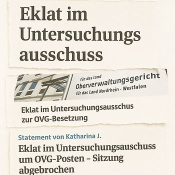 Ausrisse