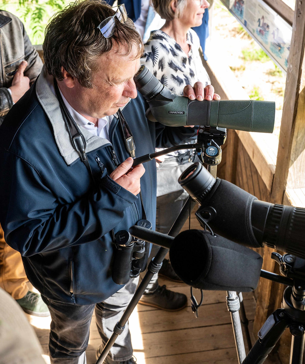 Minister Krischer nimmt die Flamingos in den Blick.