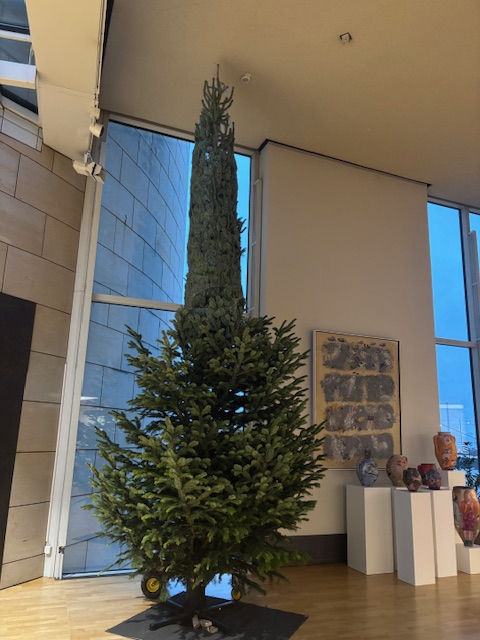 Da bekommt das Wort Christbaumständer eine ganz neue Bedeutung: Die seltsame Tanne der SPD-Fraktion