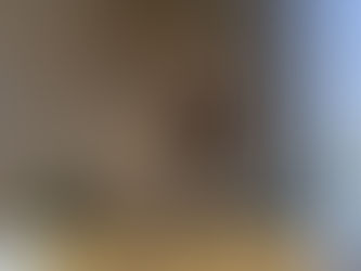 Das Landtagsblog öffnet die versteckte Geheimtür zur CDU