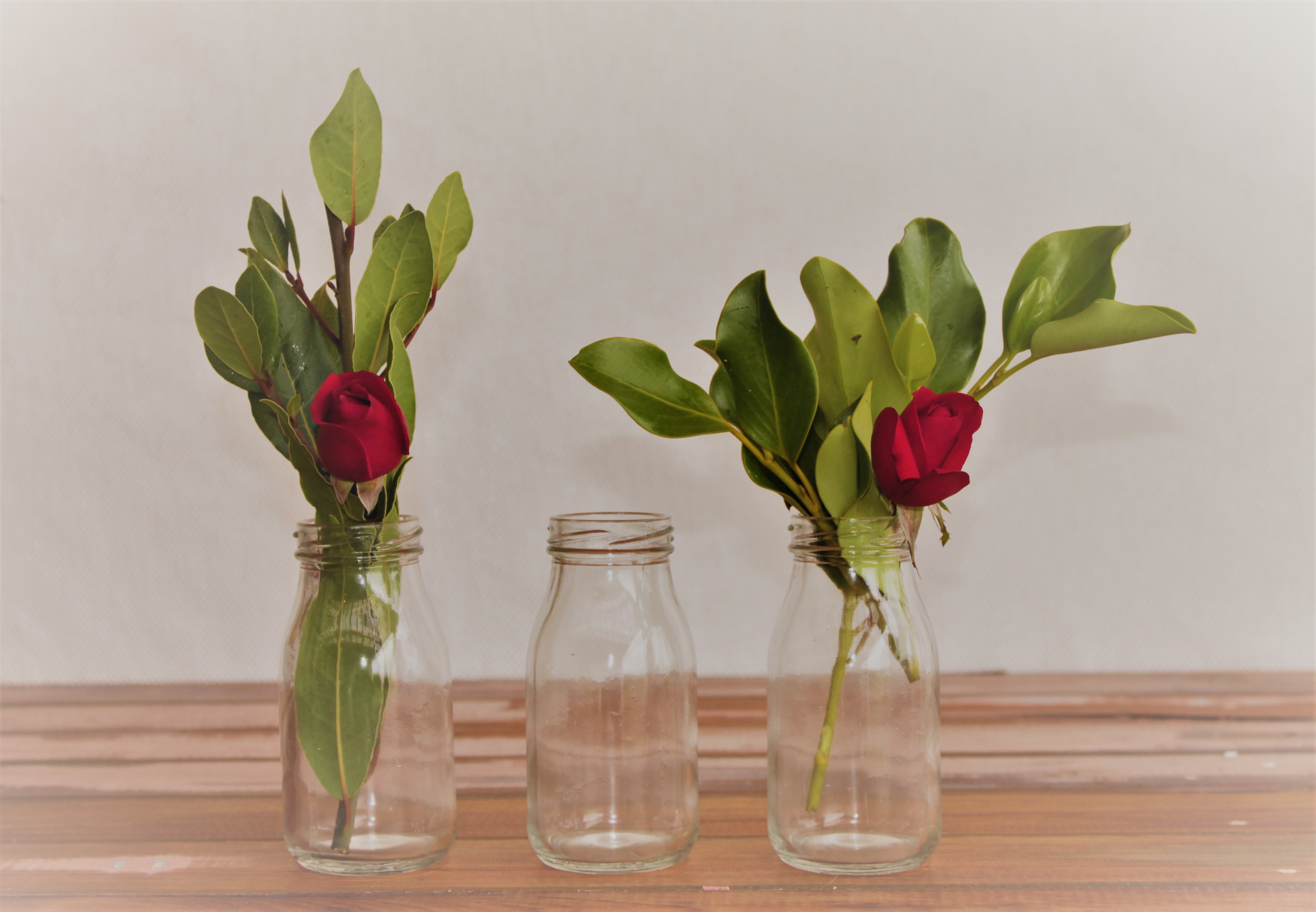 Small Milk Bottles
