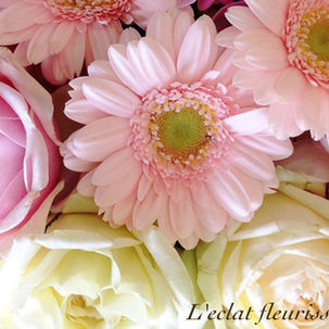 春から始めるディプロマコース募集中