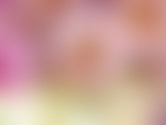 春から始めるディプロマコース募集中