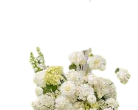 Pasted-20260618-132502_clipped_rev_3.png