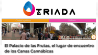 El 'parche' de las 'Canas Cannábicas'