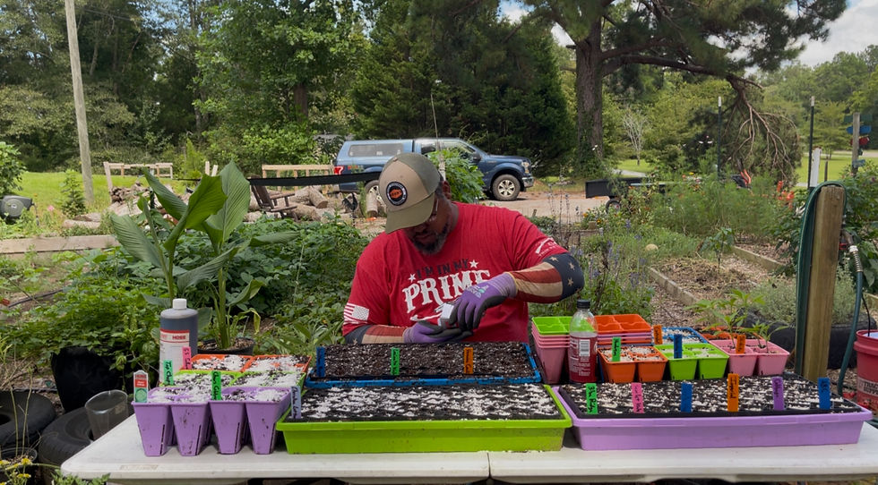 Comprehensive Fall Planting Guide