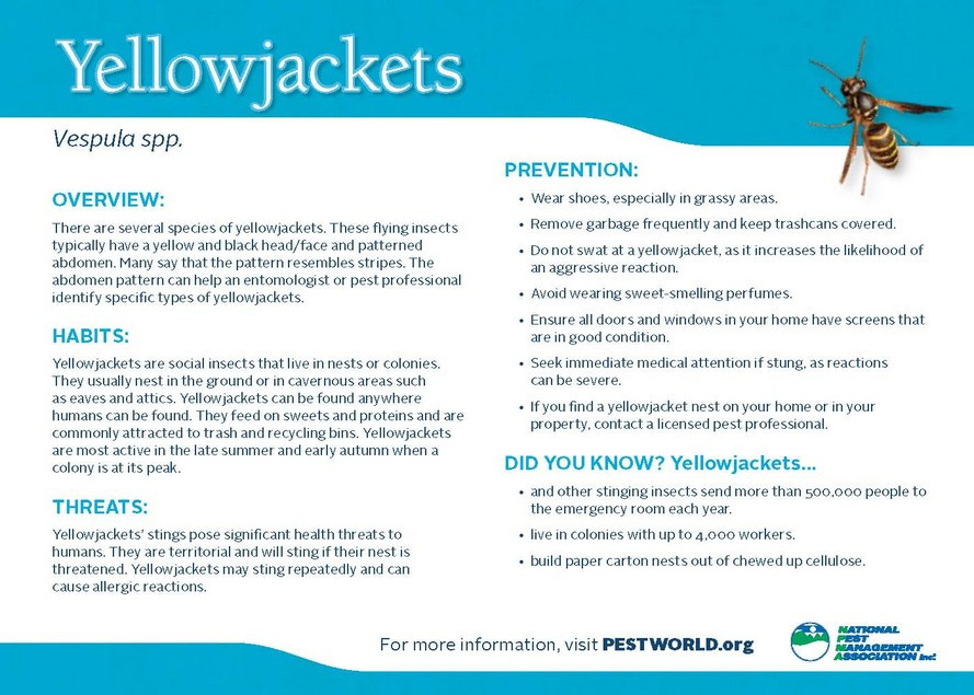 EcoFriendly Green Valley Pest Control