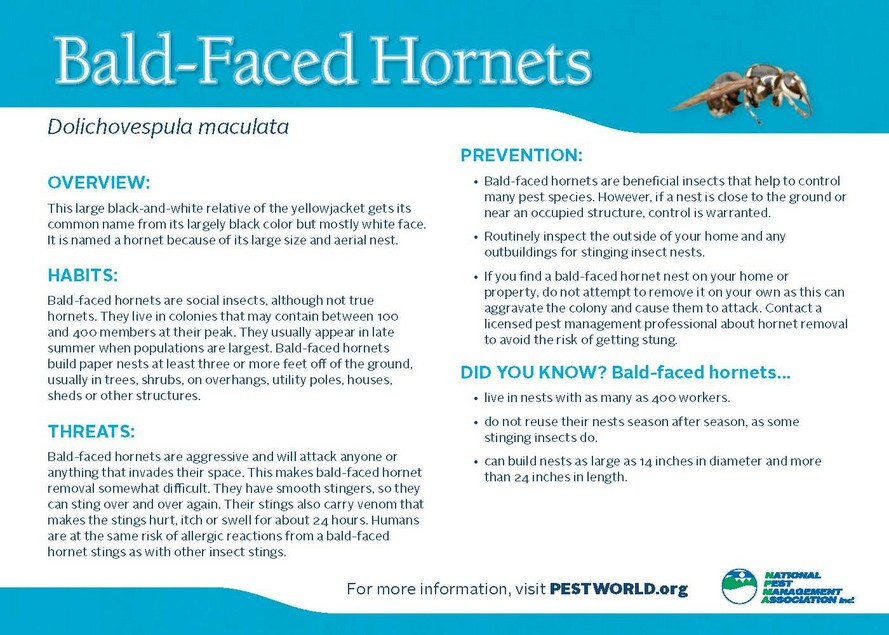 EcoFriendly Green Valley Pest Control