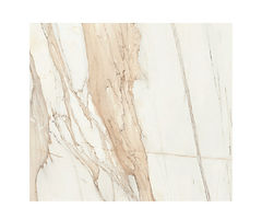 Bernini_857x714.jpg