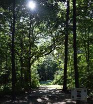 ORM Wholeness: The Disc Golf Community Experience
