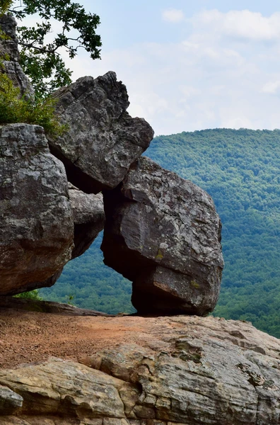 The Building Blocks of Astrology