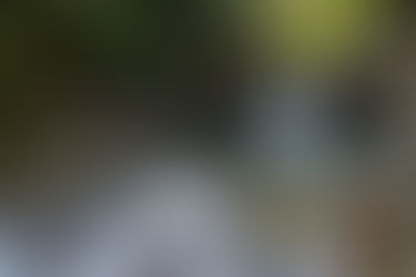 Human Resources: We Are All Oracles