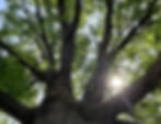 New light shines for new ideas