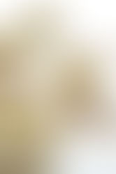 JO SUSUMU EXHIBITION 2024