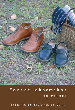 Forest Shoemaker in mokodi　2008.12.4～