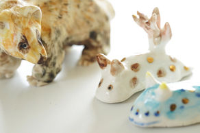 きらきらとした宝石のように美しい色彩の不思議な生命体「ウミウシ」