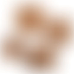 チークのモザイクプレートが届きました。